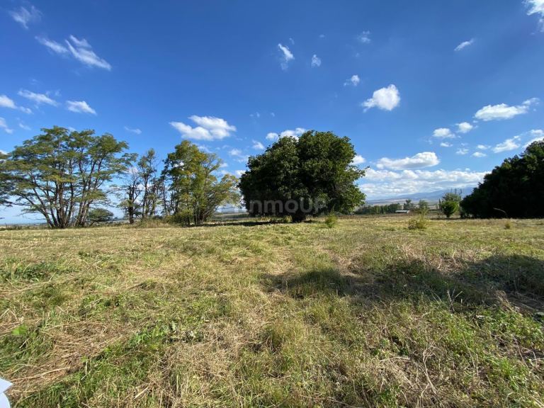 Lote en Venta en Tupungato, Mendoza