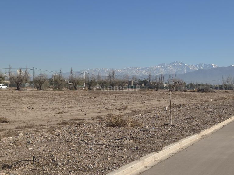 Lote en Venta en Maipu, Mendoza