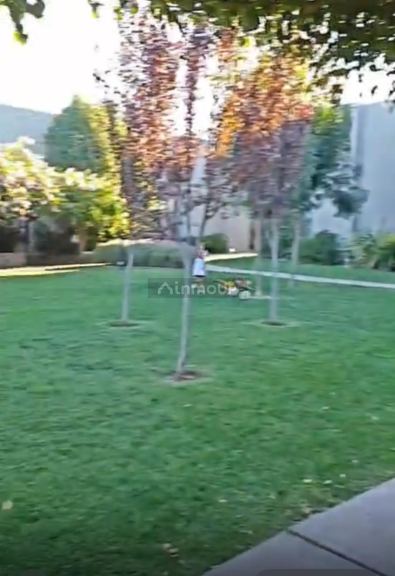 Departamento en Alquiler en Lujan de Cuyo, Mendoza