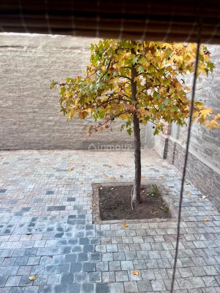 Departamento en Alquiler en Lujan de Cuyo, Mendoza