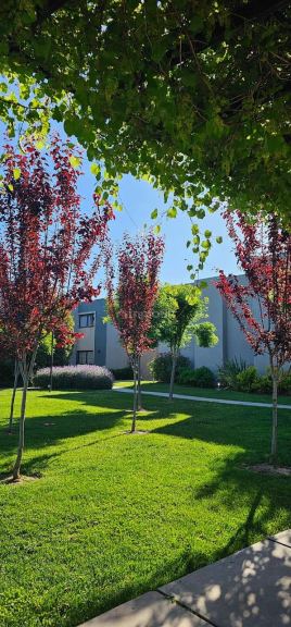Departamento en Alquiler en Lujan de Cuyo, Mendoza
