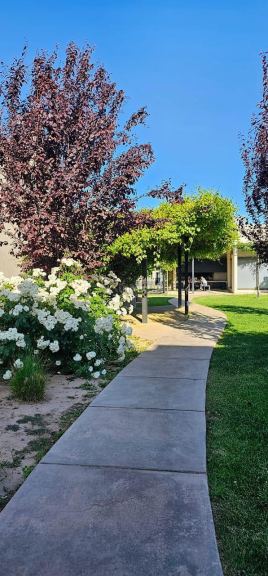 Departamento en Alquiler en Lujan de Cuyo, Mendoza