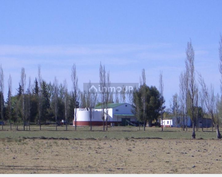 Bodega en Venta en General alvear, Mendoza