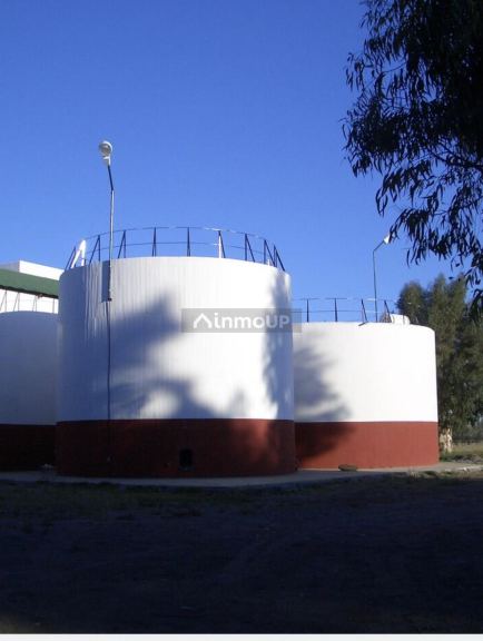 Bodega en Venta en General alvear, Mendoza