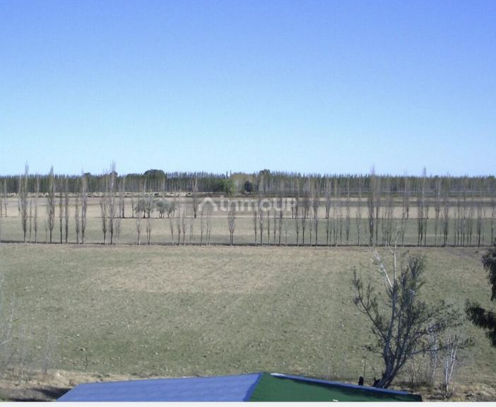 Bodega en Venta en General alvear, Mendoza