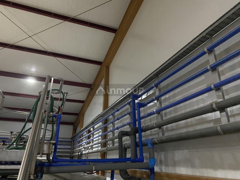 Bodega en Venta en Lavalle, Mendoza