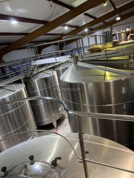 Bodega en Venta en Lavalle, Mendoza