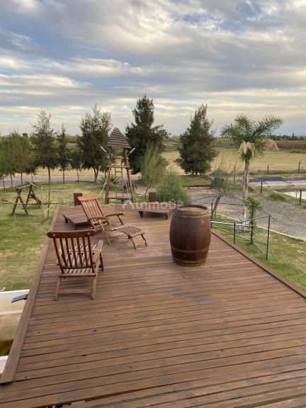 Bodega en Venta en Lavalle, Mendoza