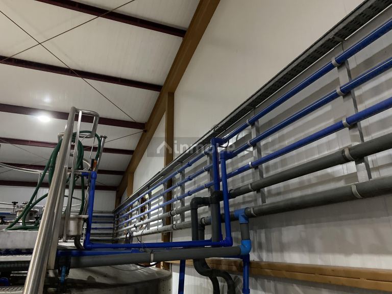 Bodega en Venta en Lavalle, Mendoza