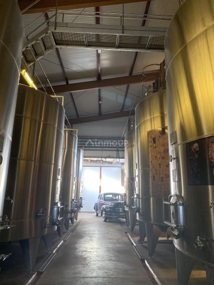 Bodega en Venta en Lavalle, Mendoza