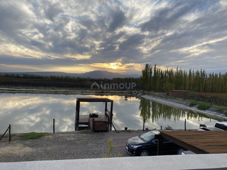 Bodega en Venta en Lavalle, Mendoza