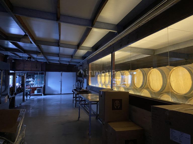 Bodega en Venta en Lavalle, Mendoza
