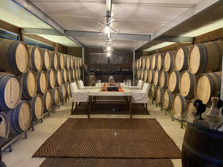 Bodega en Venta en Lavalle, Mendoza