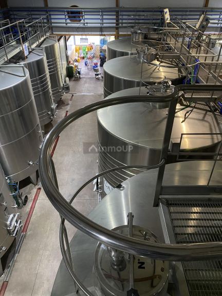 Bodega en Venta en Lavalle, Mendoza