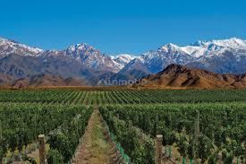 Finca en Venta en Tunuyan, Mendoza