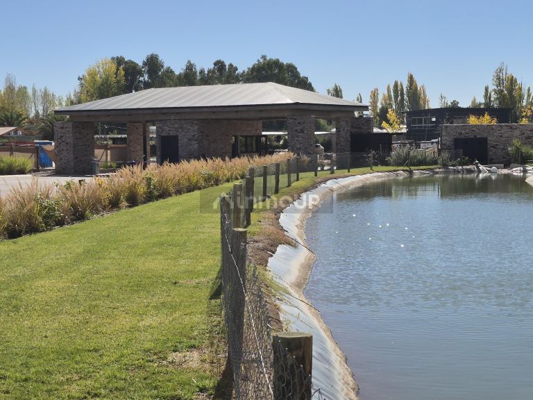 Lote en Venta en Lujan de Cuyo, Mendoza