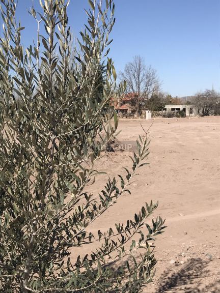 Lote en Venta en Lujan de Cuyo, Mendoza