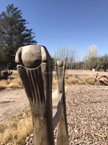 Lote en Venta en Lujan de Cuyo, Mendoza