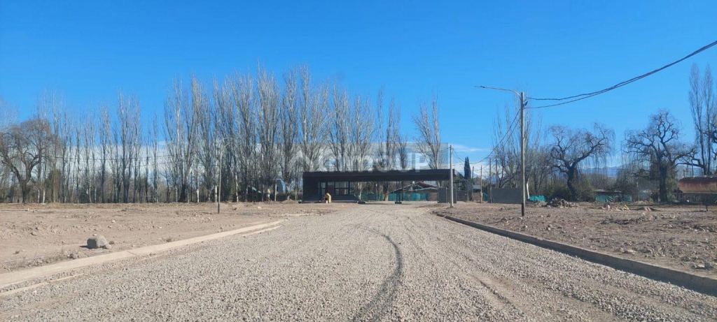 Lote en Venta en Lujan de Cuyo, Mendoza