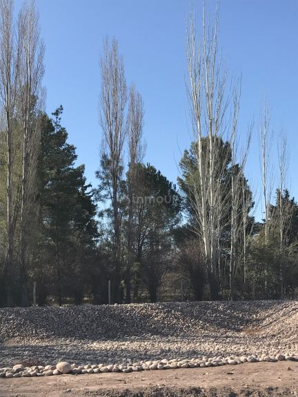 Lote en Venta en Lujan de Cuyo, Mendoza