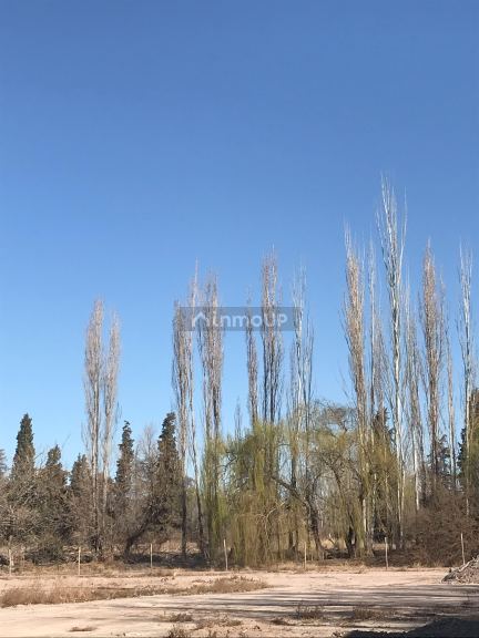 Lote en Venta en Lujan de Cuyo, Mendoza