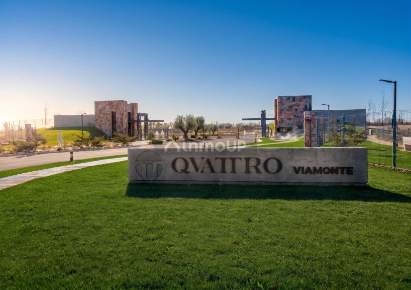 Lujan de Cuyo Viamonte 1062, M5507 Luján de Cuyo