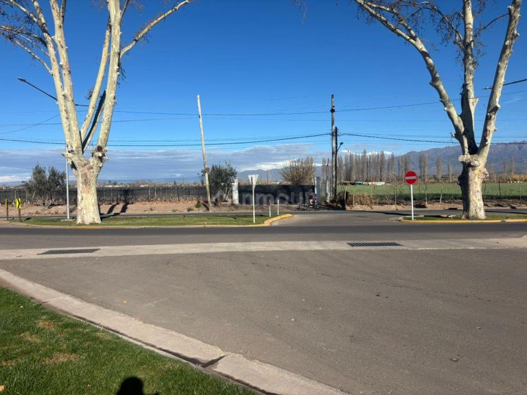 Lujan de Cuyo Viamonte 1062, M5507 Luján de Cuyo