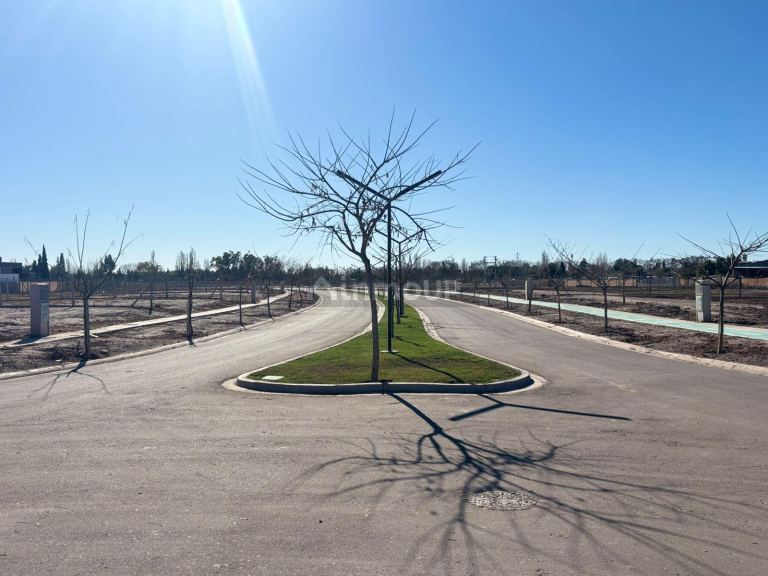 Lujan de Cuyo Viamonte 1062, M5507 Luján de Cuyo