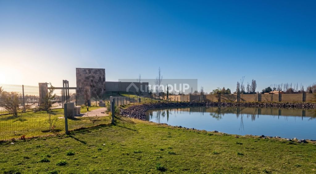 Lujan de Cuyo Viamonte 1062, M5507 Luján de Cuyo