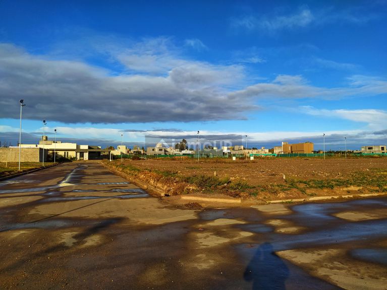 Lote en Venta en Lujan de Cuyo, Mendoza