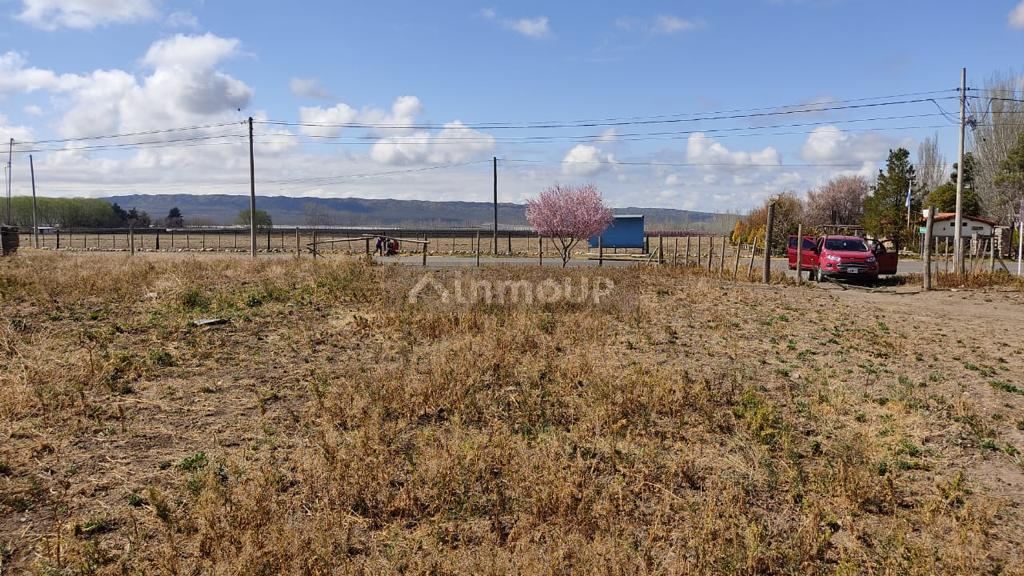 Finca en Venta en Rivadavia, Mendoza
