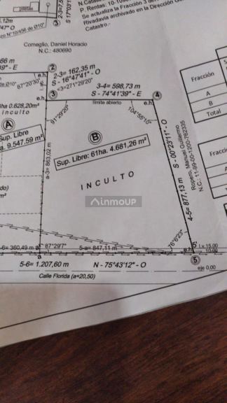 Finca en Venta en Rivadavia, Mendoza