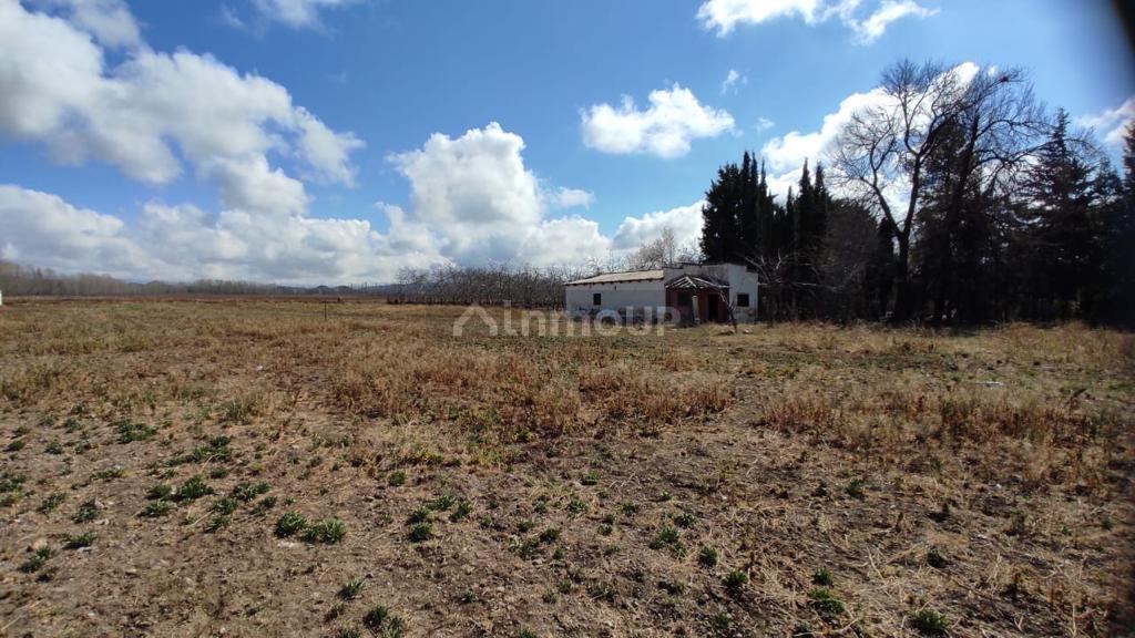 Finca en Venta en Rivadavia, Mendoza