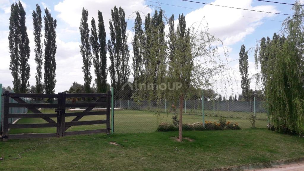 Lote en Venta en Lujan de Cuyo, Mendoza
