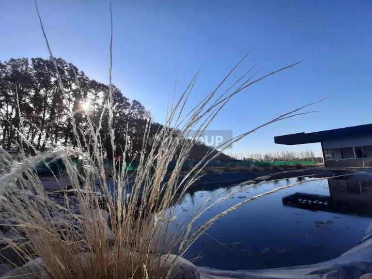 Lote en Venta en Lujan de Cuyo, Mendoza