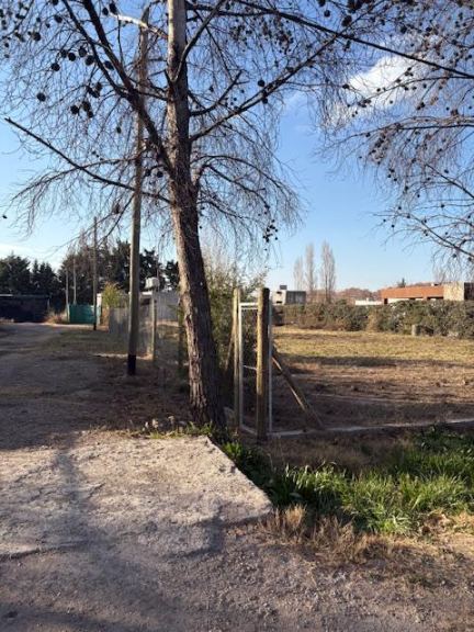 Lote en Venta en Lujan de Cuyo, Mendoza