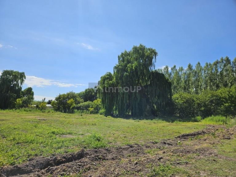 Finca en Venta en Tunuyan, Mendoza