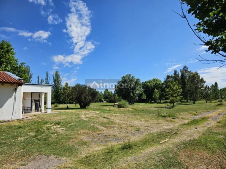 Finca en Venta en Tunuyan, Mendoza