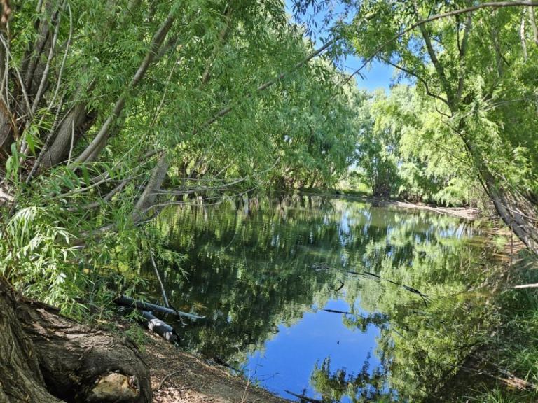 Finca en Venta en Tunuyan, Mendoza