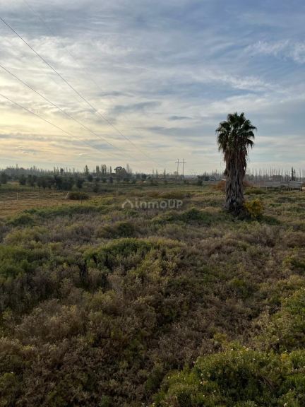 Finca en Venta en Guaymallen, Mendoza
