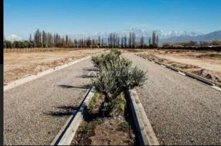 Lote en Venta en Lujan de Cuyo, Mendoza