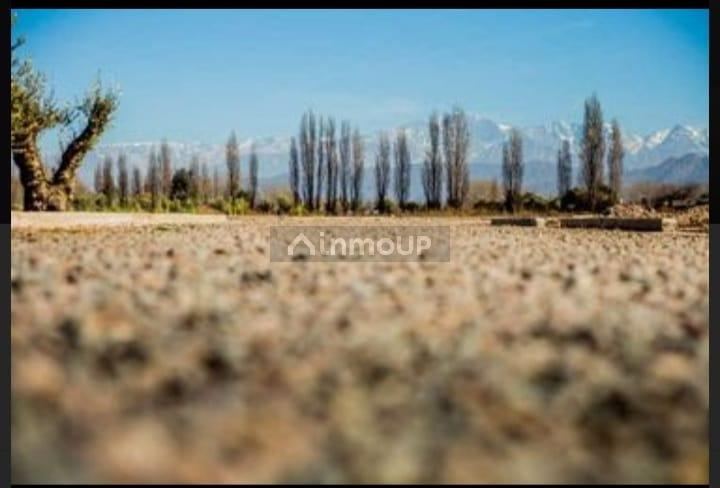 Lote en Venta en Lujan de Cuyo, Mendoza
