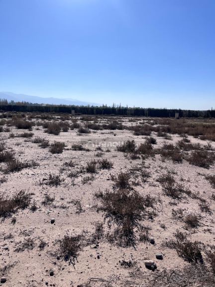 Lote en Venta en Lujan de Cuyo, Mendoza