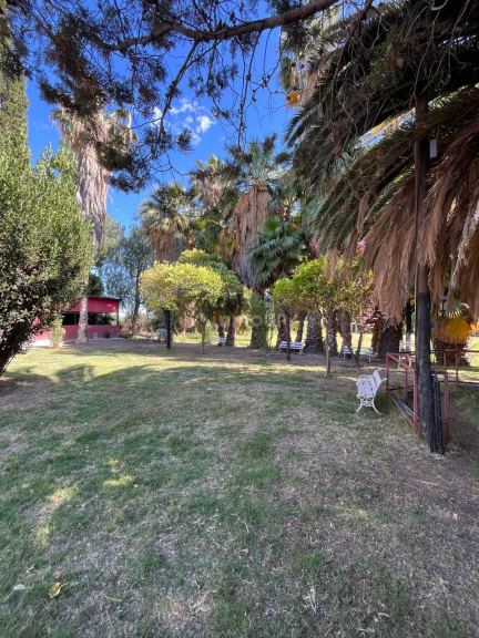 Finca en Venta en Maipu, Mendoza