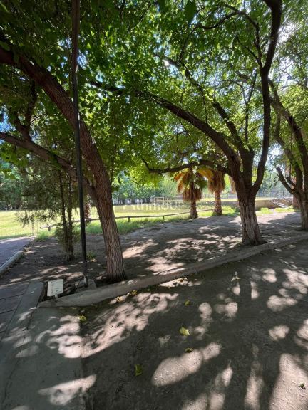 Finca en Venta en Maipu, Mendoza