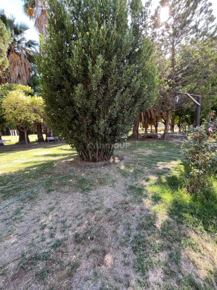 Finca en Venta en Maipu, Mendoza