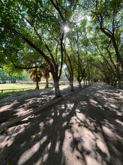 Finca en Venta en Maipu, Mendoza