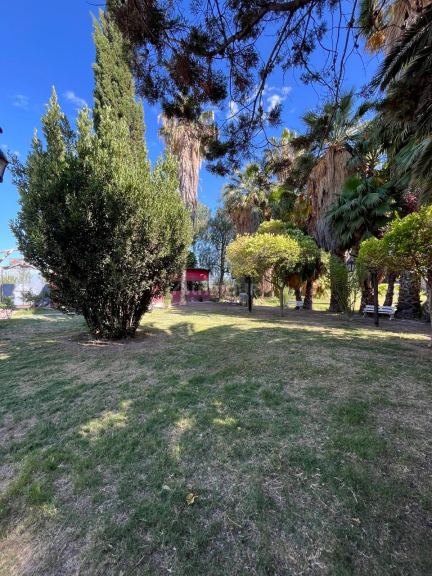 Finca en Venta en Maipu, Mendoza
