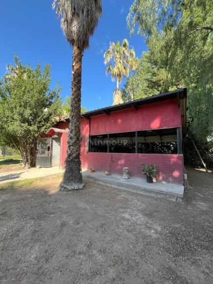 Finca en Venta en Maipu, Mendoza