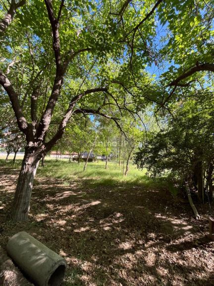 Finca en Venta en Maipu, Mendoza